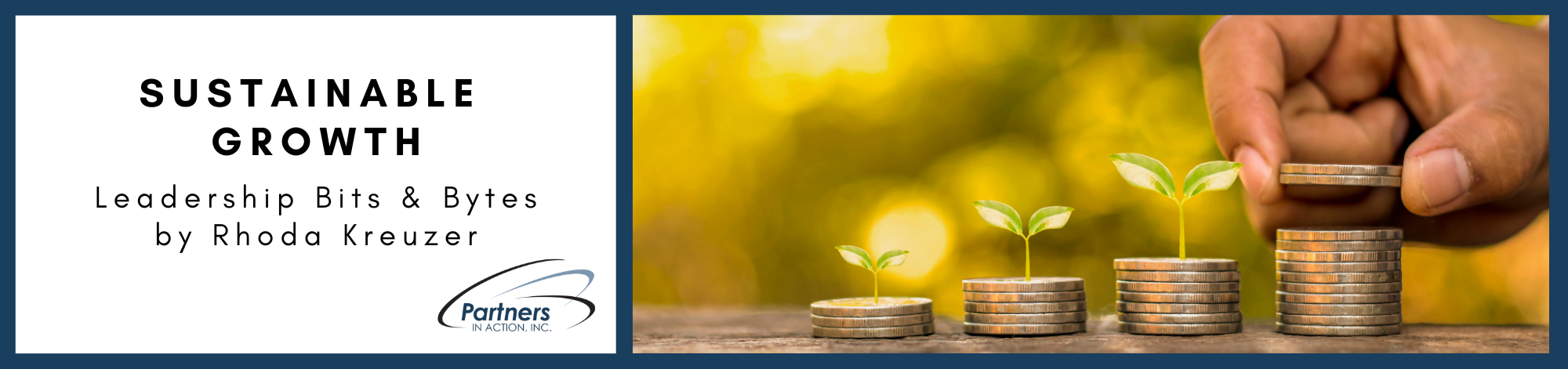 Sustainable Growth